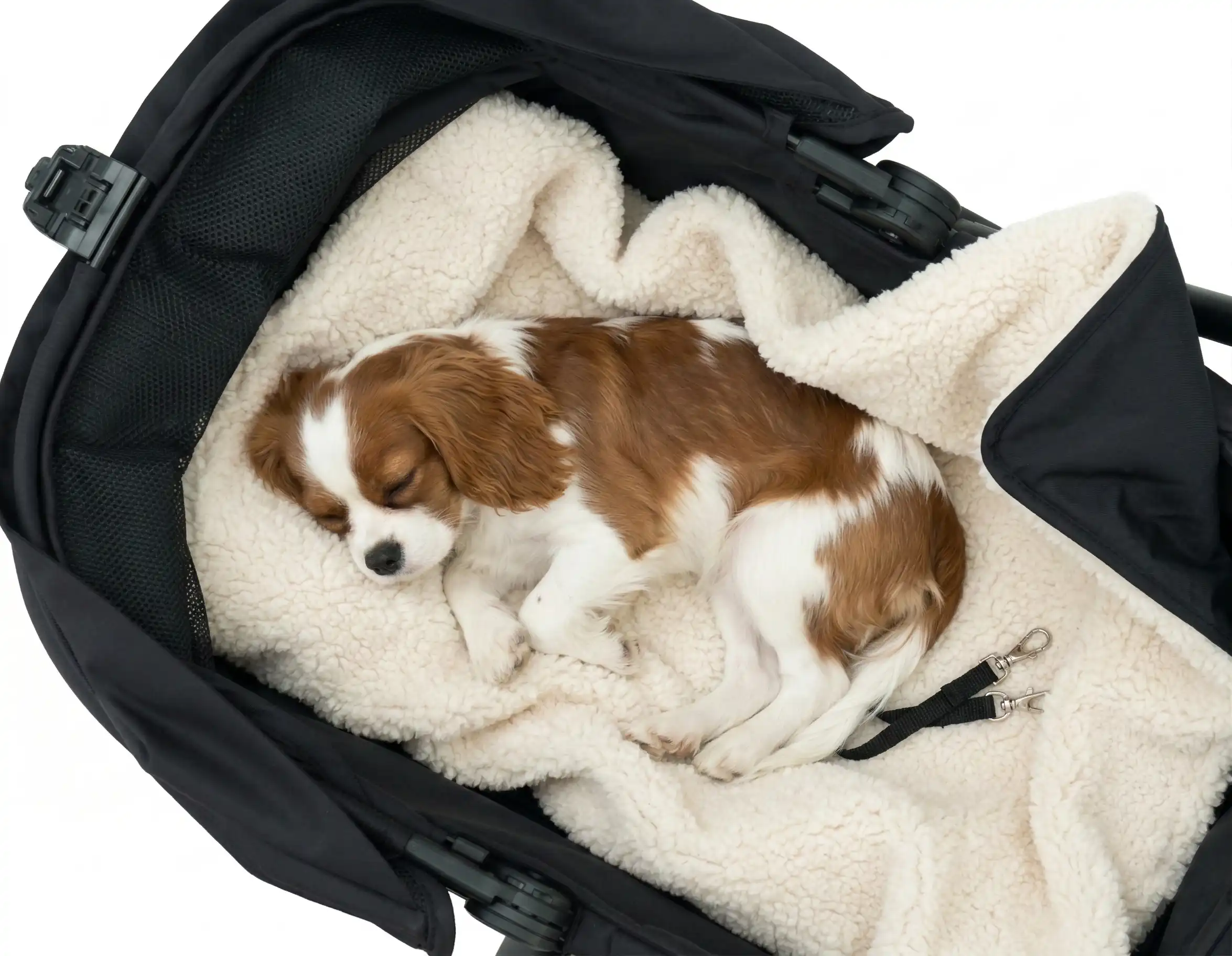 Hund schläft gemütlich im MOON Dog Buggy