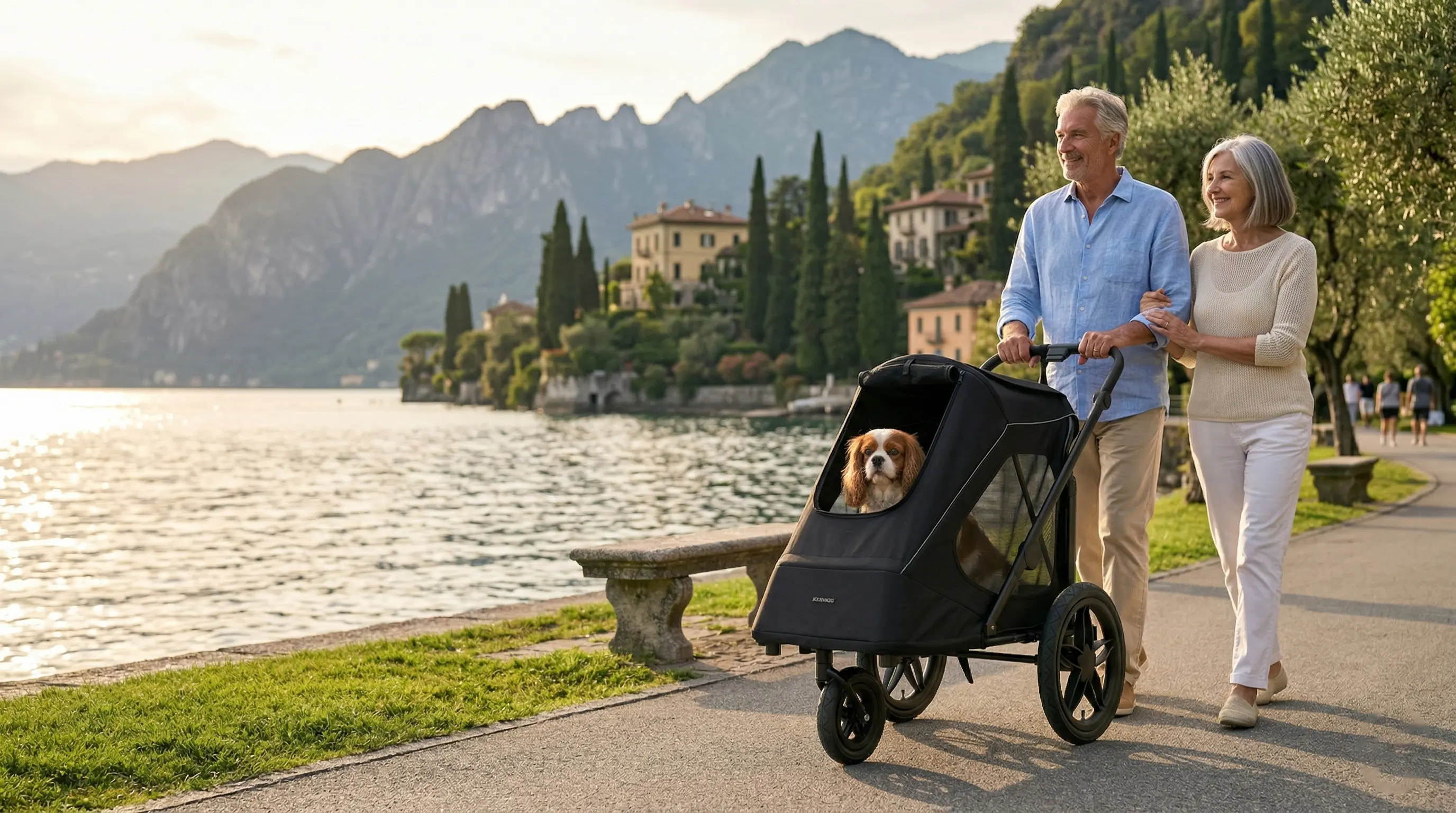 Hundebuggy für große Hunde: Welches Modell bis 40 kg?