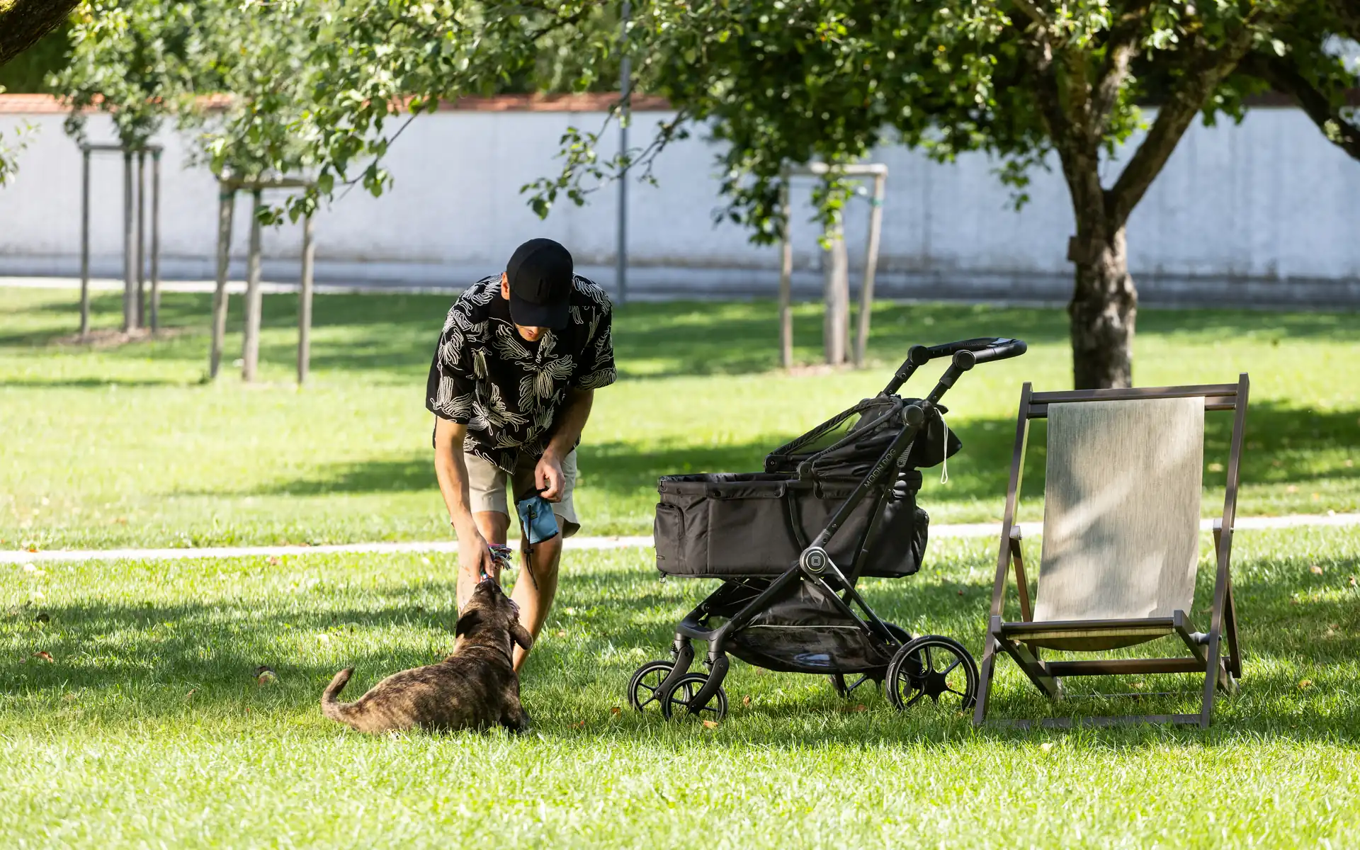 A MOON Dog buggy on a lawn while the owner plays with the dog beside it