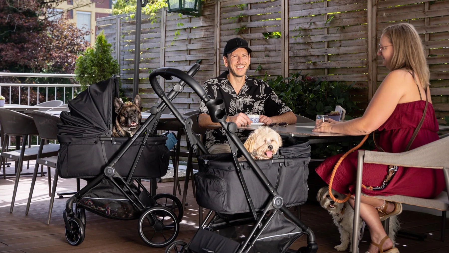 Zwei MOON Dog Hundebuggys mit kleinen Hunden stehen an einem Cafétisch im Freien